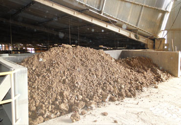 Matéria Prima Pronta - Entrada para o Caixão