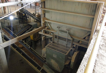 Caixão - Saída para Esteira